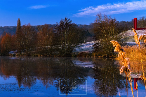 2016 - Etangs de Cergy
70MM_F11_1/50S 2016 - Etangs de Cergy
70MM_F11_1/50S